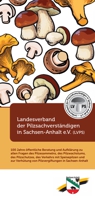 Flyer_Pilzsachverstaendige